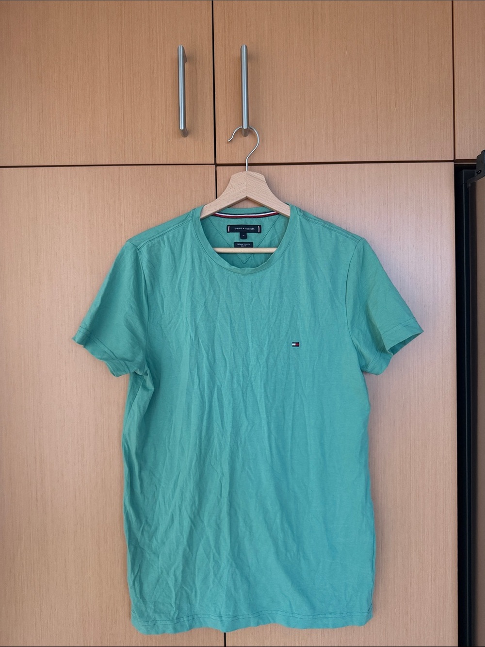 Tommy Hilfiger Men’s Mint Crew Neck T-Shirt